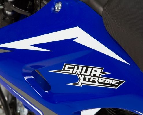 LOGO XTREME